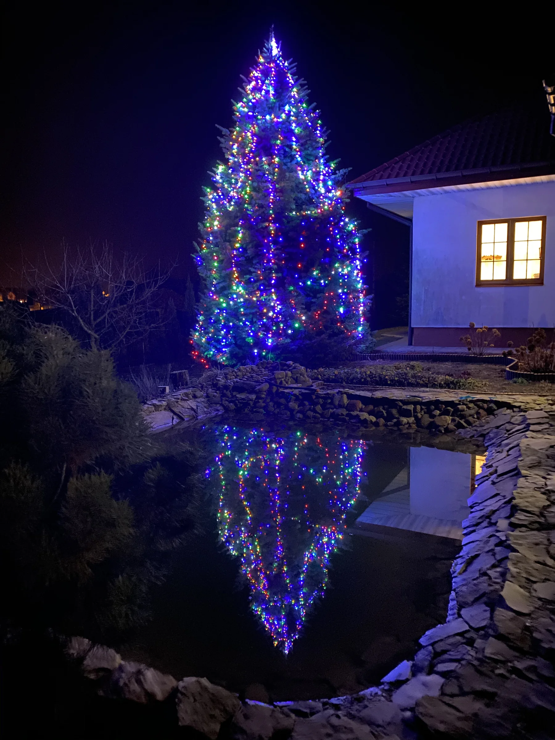 Choinka z kolorowymi lampkami odbija się nocą w wodzie ogrodowego stawu.